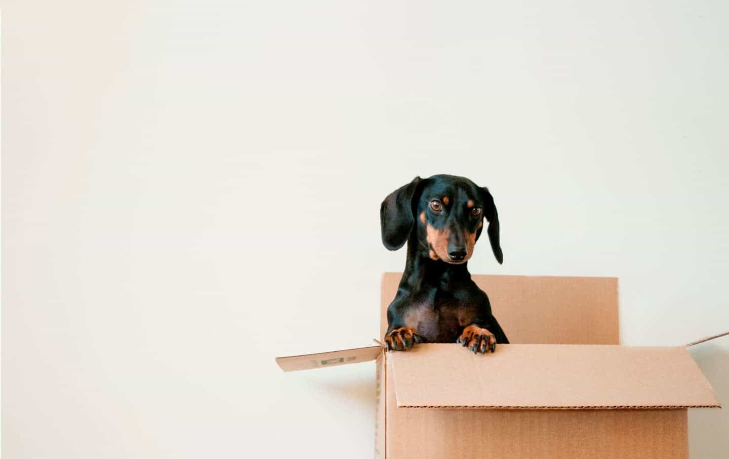 Best Moving Company Tallahassee